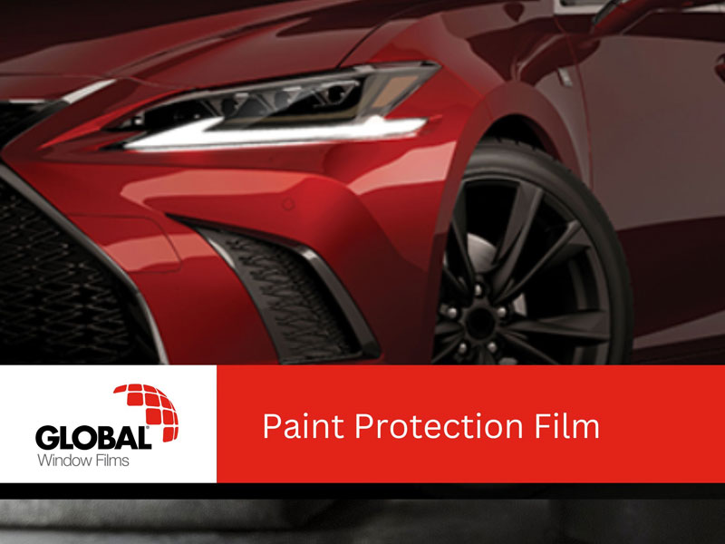 paint-protection